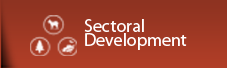 Sectoral Development
